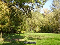 Zámek Šilheřovice - 009.jpg, 38kB